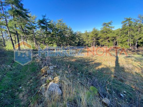 Investment Land in Muğla-Menteşe-Kıran, Close to the Main Road and the Sea (15 km)