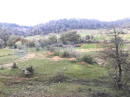 Land for Sale in Muğla Menteşe Kıran District with No Vehicle Access Problems