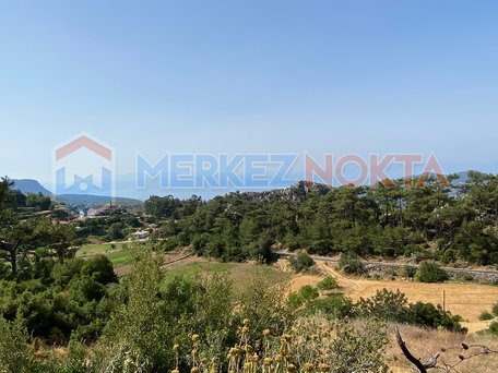 Zoned Land with Sea View in a Natural Habitat Area in Muğla Zeytin