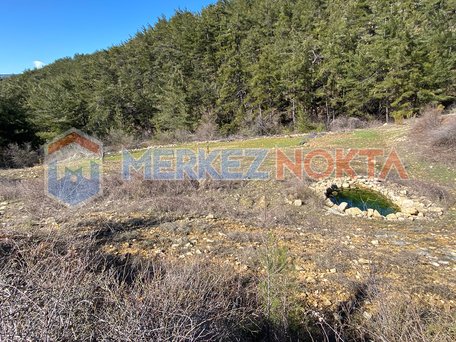 Investment Land with a Well in Muğla, Kıran