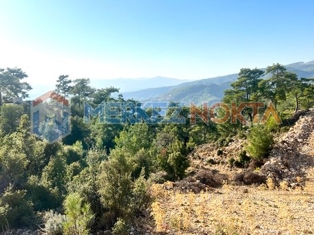 Muğla Menteşe Dağpınar'da Köyiçi İmarlı Satılık Arazi