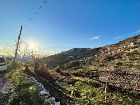 Muğla Menteşe Zeytinköy'de Köyiçi İmarlı Arazi