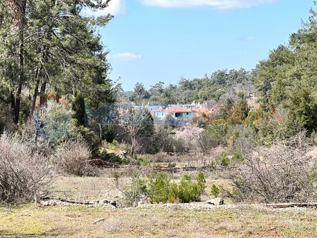 Muğla Kıran Mahallesinde Kadastral Yola Cepheli Yerleşime Yakın Arazi