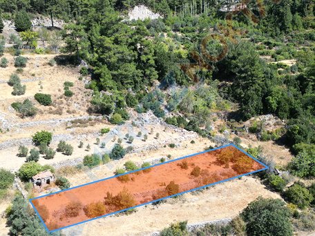 Muğla Zeytinde Doğal Yaşam Alanında Deniz Manzaralı İmarlı Arsa