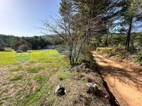 Land with frontage on a cadastral road in Yaraş Town, Menteşe District, Muğla.
