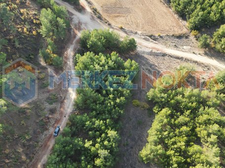 Muğla, Kıran'da, Denize Yakın (12,8km), Yolu Olan, Düz Arazi