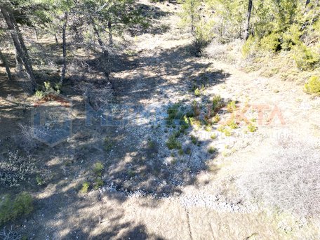 Muğla, Menteşe, Zeytinköy'de, Denize Yakın (16,5km) Arazi