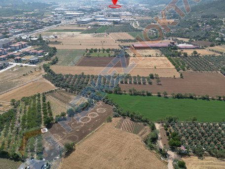 Muğla, Bayır'da, İnşaata Hazır ( 30/60 ) Villa İmarlı Arsa