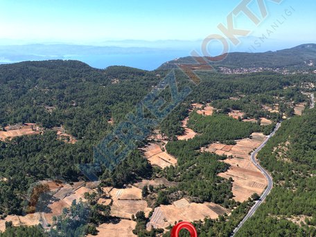 Muğla Kıran'da, Yerleşime ve Denize Yakın (12,9km) Geniş Arazi
