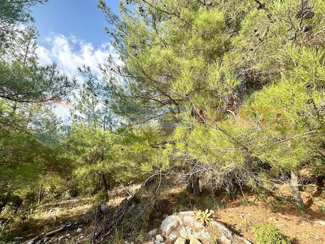 Muğla, Menteşe, Kıran'da, Yatırımlık Denize Yakın (15km) Arazi