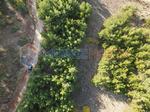 Muğla, Kıran'da, Denize Yakın (12,8km), Yolu Olan, Düz Arazi