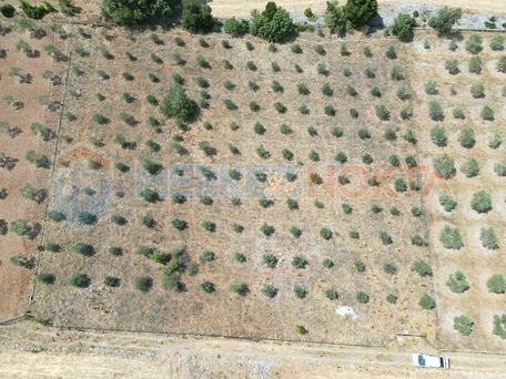 Muğla,Menteşe, Çırpı'da, Yola Cepheli, Tel Örgüyle Çevrili Arazi