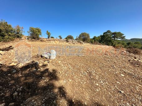 Muğla Menteşe Yeniköy'de (Yerkesik) Yatırımlık Satılık Arazi