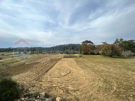 Muğla Kıran'da Ulaşım Sorunu Olmayan Yatırımlık Arazi