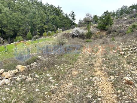 Muğla, Kıran'da İçinde Kuyusu Bulunan Yatırımlık Arazi