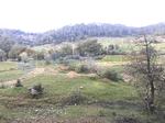 Muğla, Kıran'da, Denize Yakın (14km), Yolu Olan Arazi