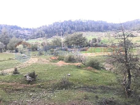 Muğla, Kıran'da, Denize Yakın (14km), Yolu Olan Arazi