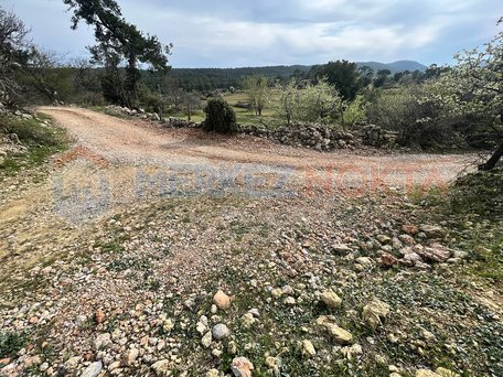 Muğla Kıran'da Ulaşım Sorunu Olmayan Yatırımlık Arazi